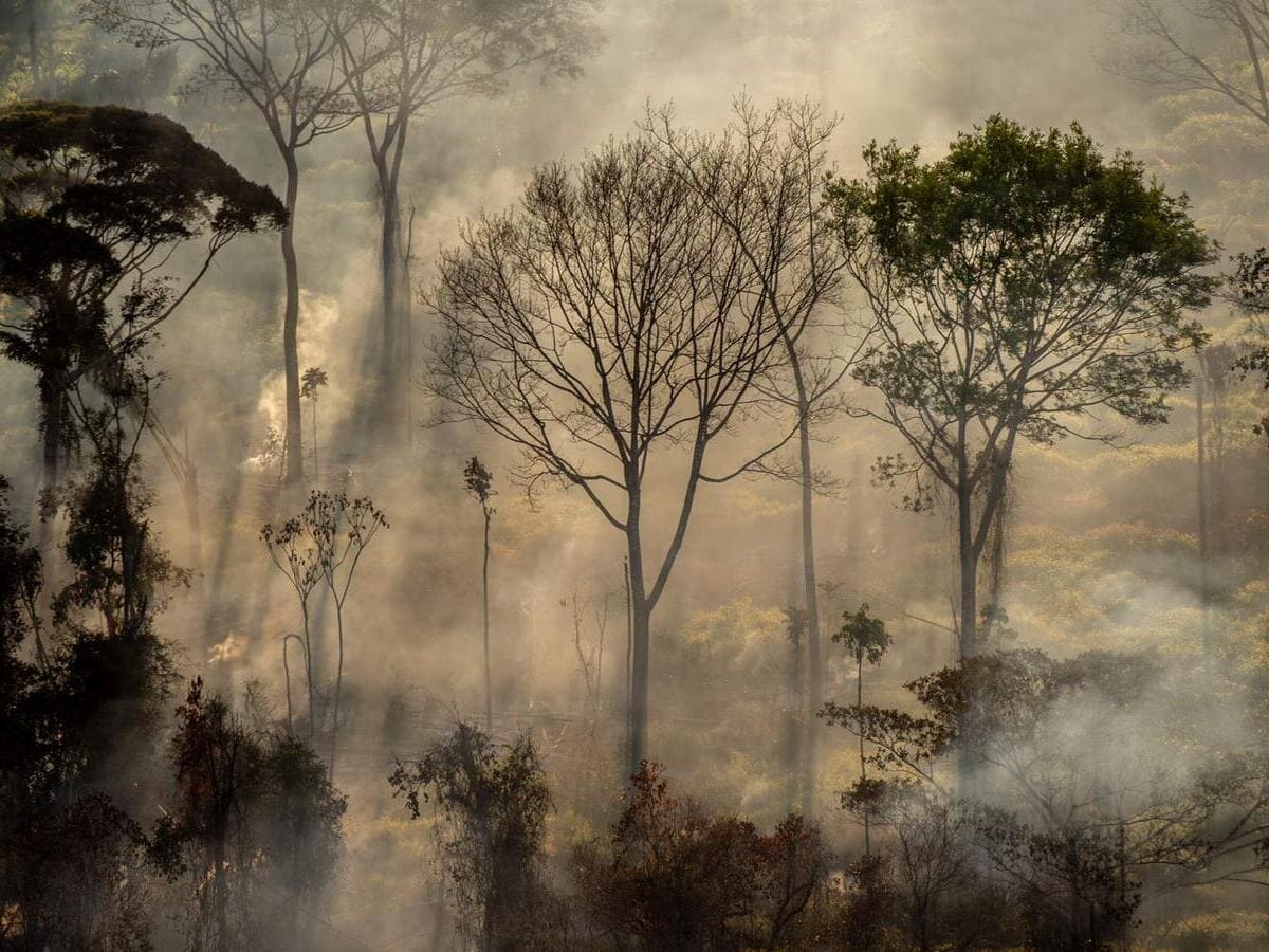 Amazon Rainforest in Peru