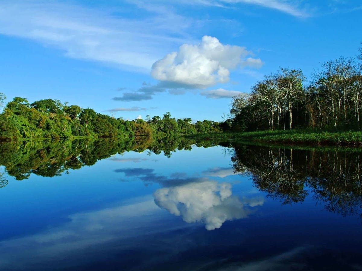 Best Time of Year to Visit Peruvian Amazon