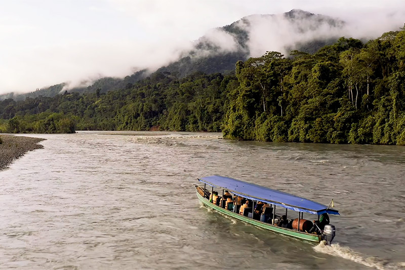 Manu national park