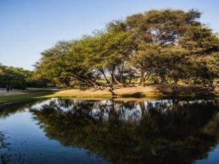 Canoncillo Natural Forest | Trujillo Tourism