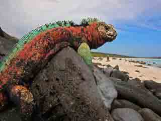 Best Itineraries to visit Galapagos and Machu Picchu