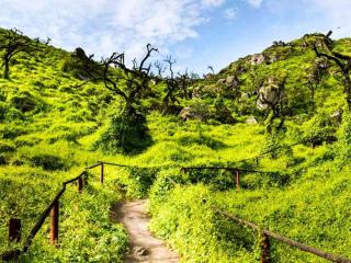 Lomas de Lachay: 4 facts to get to know this National Reserve as a family