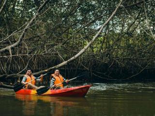 Mangroves of Tumbes: Magical aquatic forests