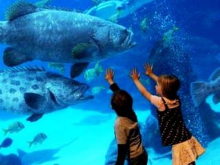 Nautilus: the modern aquarium in Lima