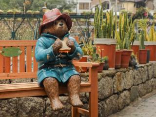 Paddington in Peru: The Beautiful Adventure in Machu Picchu