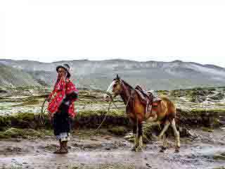 Peruvian Culture