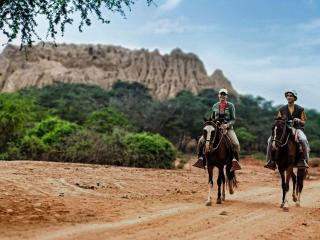 Pomac Forest: Paradise of the Lord of Sican