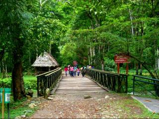 Tingo Maria National Park